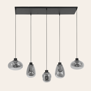 Steinhauer Reflexion Hanglamp | Zwart Staal, 5 Lichtpunten, Smoke Glas