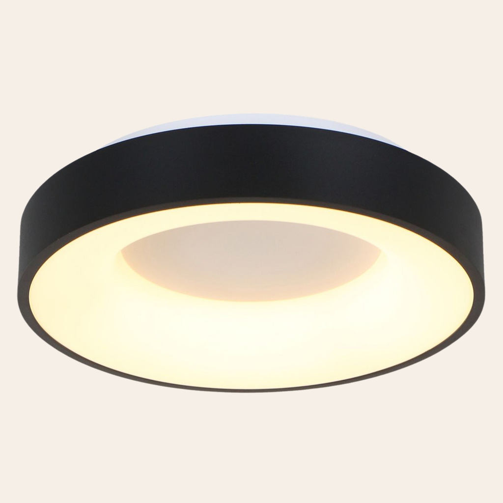 Steinhauer Ringlede Plafondlamp | Zwarte LED Ø48 cm, Dimbaar voor Slaapkamer en Woonruimte Steinhauer