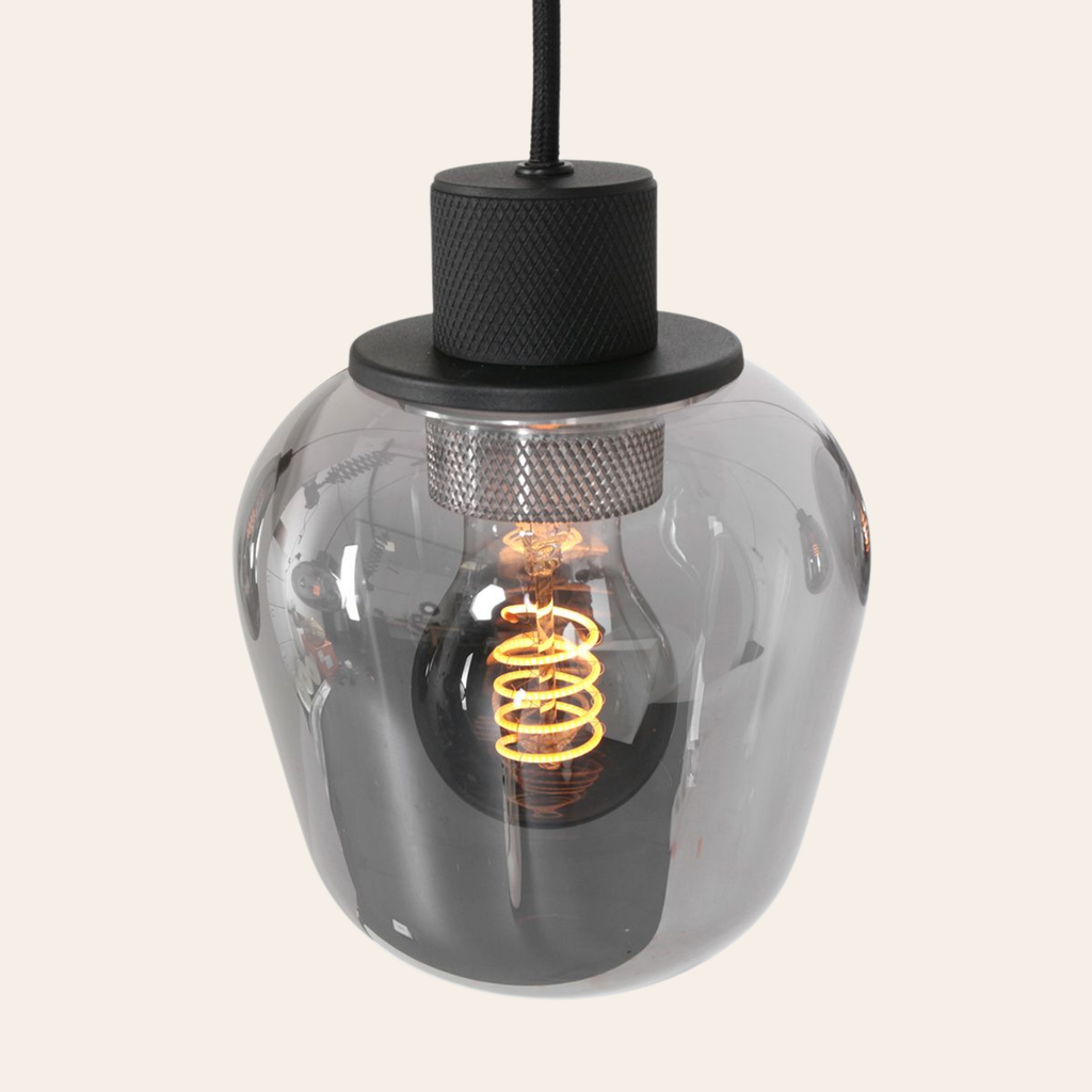 Steinhauer Reflexion Hanglamp | Zwart Staal, 5 Lichtpunten, Smoke Glas Steinhauer