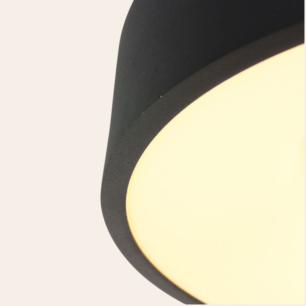 Steinhauer Ringlede Plafondlamp | Zwarte LED Ø48 cm, Dimbaar voor Slaapkamer en Woonruimte Steinhauer