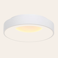 Steinhauer Ringlede Plafondlamp | Witte LED Ø48 cm, Dimbaar voor Slaapkamer en Woonruimte