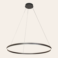 Steinhauer Ringlux Hanglamp Zwart | Verstelbare LED-ring Ø100 cm voor Eettafel en Woonkamer