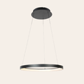 Steinhauer Ringlede Hanglamp Zwart | Dimbaar, Verstelbaar, Modern Ringdesign