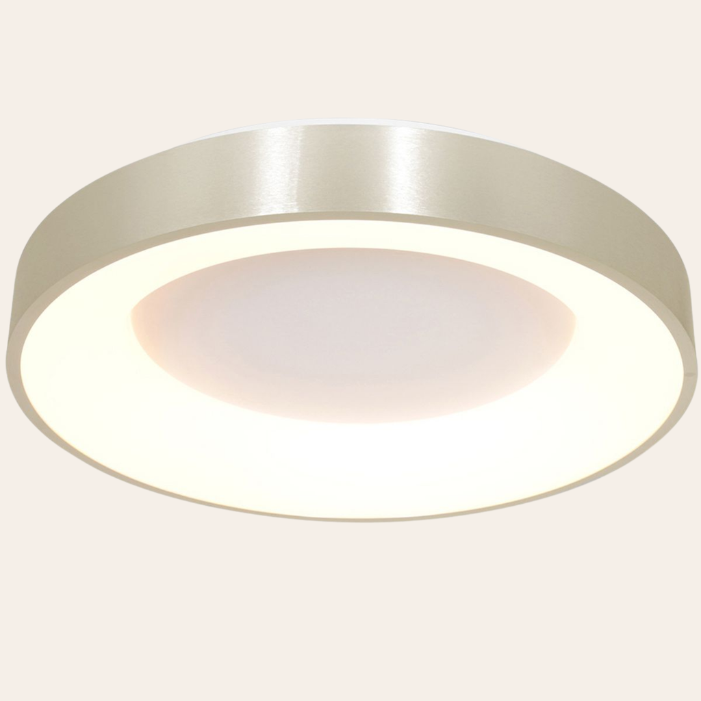 Steinhauer Ringlede Plafondlamp | Zilveren LED Ø48 cm, Dimbaar voor Slaapkamer en Woonruimte
