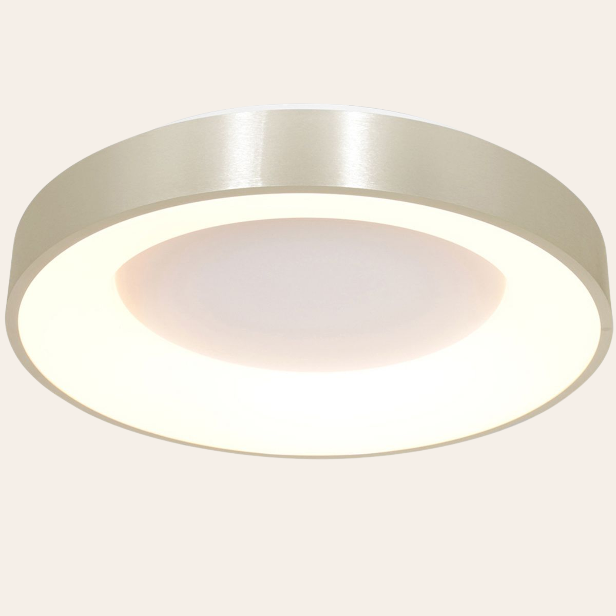 Steinhauer Ringlede Plafondlamp | Zilveren LED Ø48 cm, Dimbaar voor Slaapkamer en Woonruimte