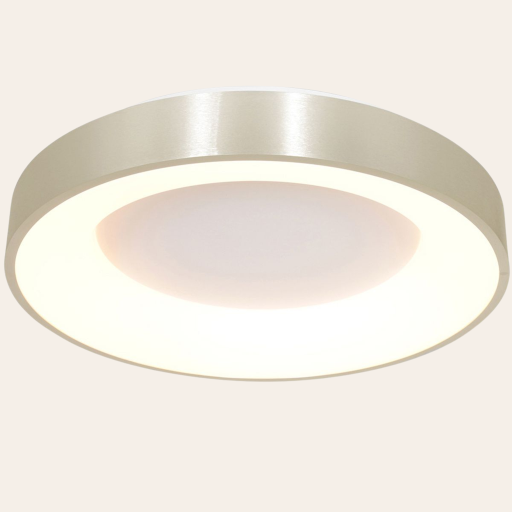 Steinhauer Ringlede Plafondlamp | Zilveren LED Ø48 cm, Dimbaar voor Slaapkamer en Woonruimte Steinhauer