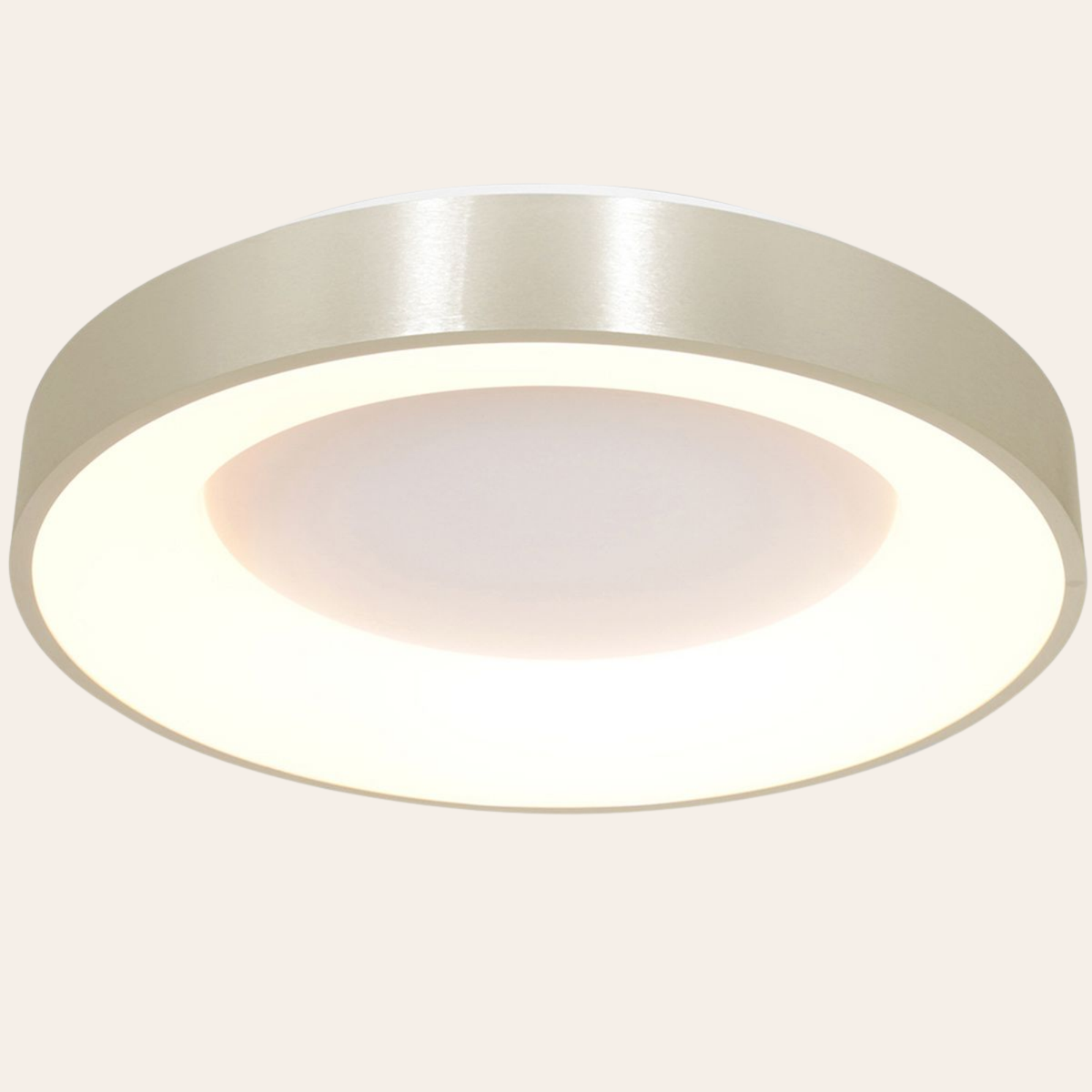 Steinhauer Ringlede Plafondlamp | Zilveren LED Ø48 cm, Dimbaar voor Slaapkamer en Woonruimte Steinhauer