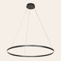 Steinhauer Ringlux Hanglamp Zwart | Verstelbare LED-ring Ø100 cm voor Eettafel en Woonkamer Steinhauer