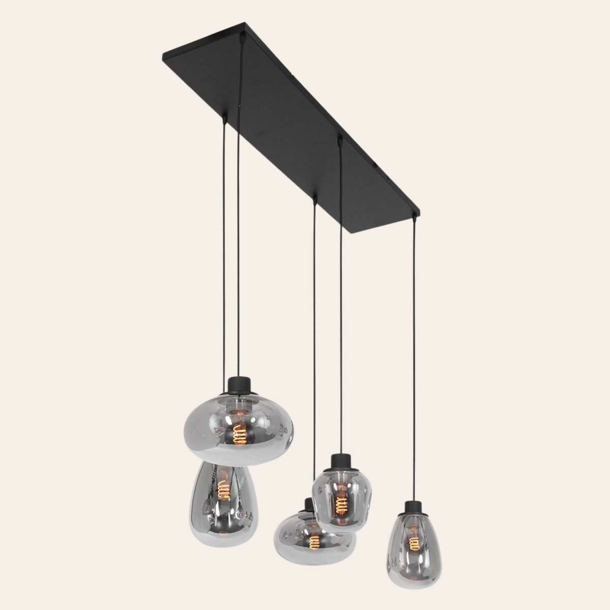 Steinhauer Reflexion Hanglamp | Zwart Staal, 5 Lichtpunten, Smoke Glas Steinhauer