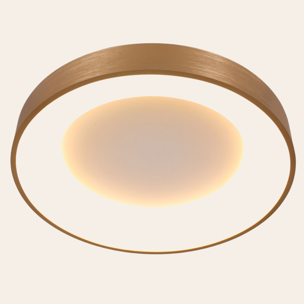 Steinhauer Ringlede Plafondlamp | Gouden LED Ø48 cm, Dimbaar voor Slaapkamer en Woonruimte