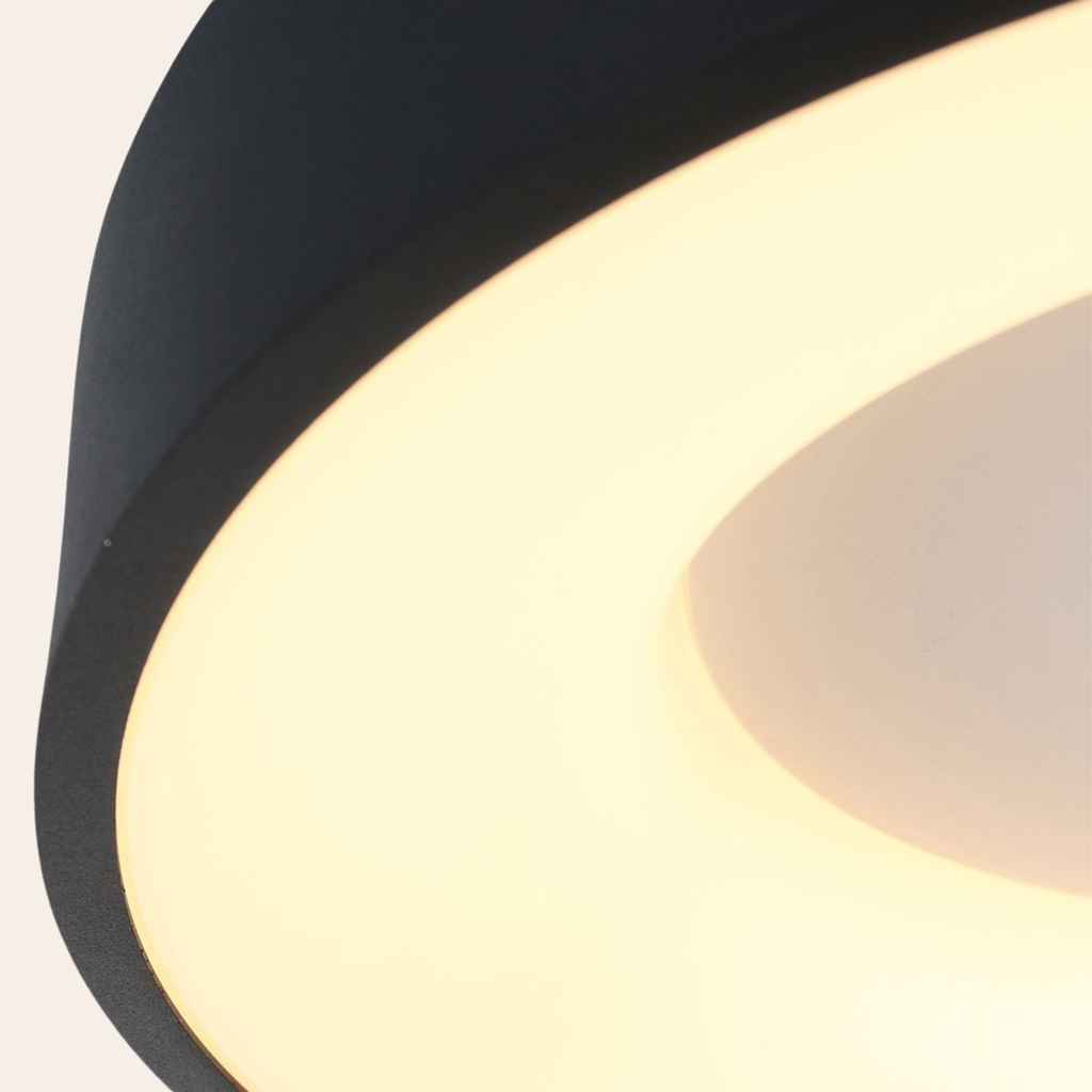 Steinhauer Ringlede Plafondlamp | Zwarte LED Ø48 cm, Dimbaar voor Slaapkamer en Woonruimte Steinhauer