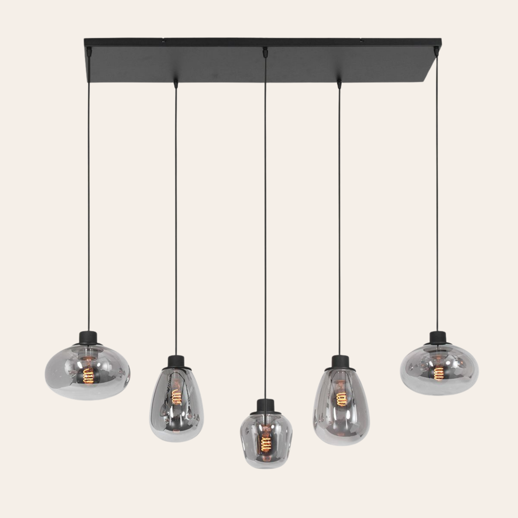 Steinhauer Reflexion Hanglamp | Zwart Staal, 5 Lichtpunten, Smoke Glas Steinhauer