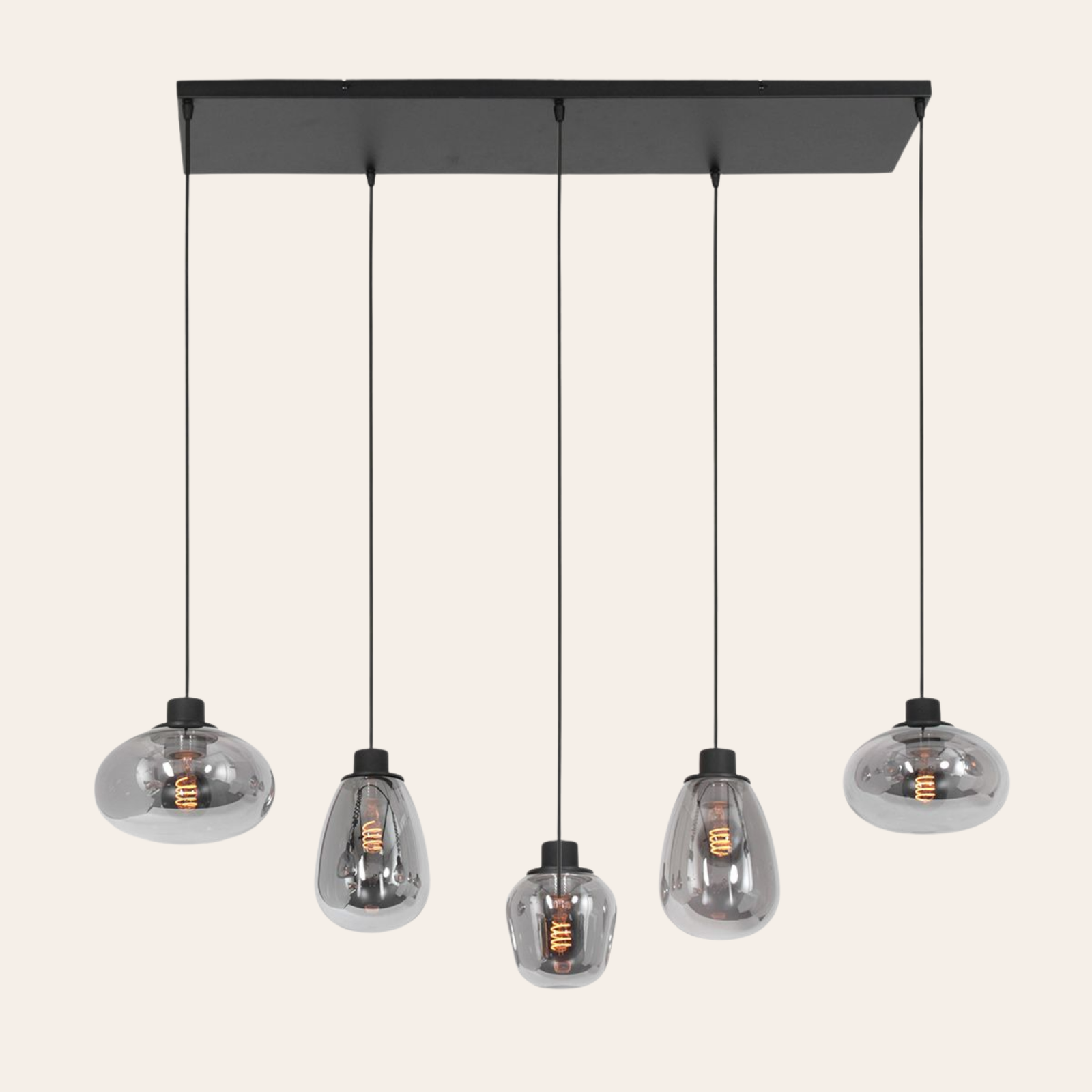 Steinhauer Reflexion Hanglamp | Zwart Staal, 5 Lichtpunten, Smoke Glas