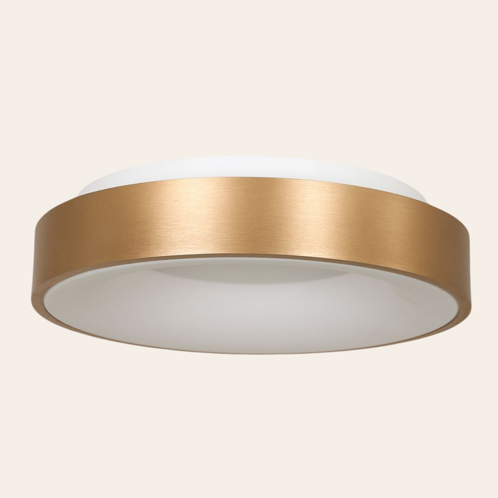 Steinhauer Ringlede Plafondlamp | Gouden LED Ø48 cm, Dimbaar voor Slaapkamer en Woonruimte