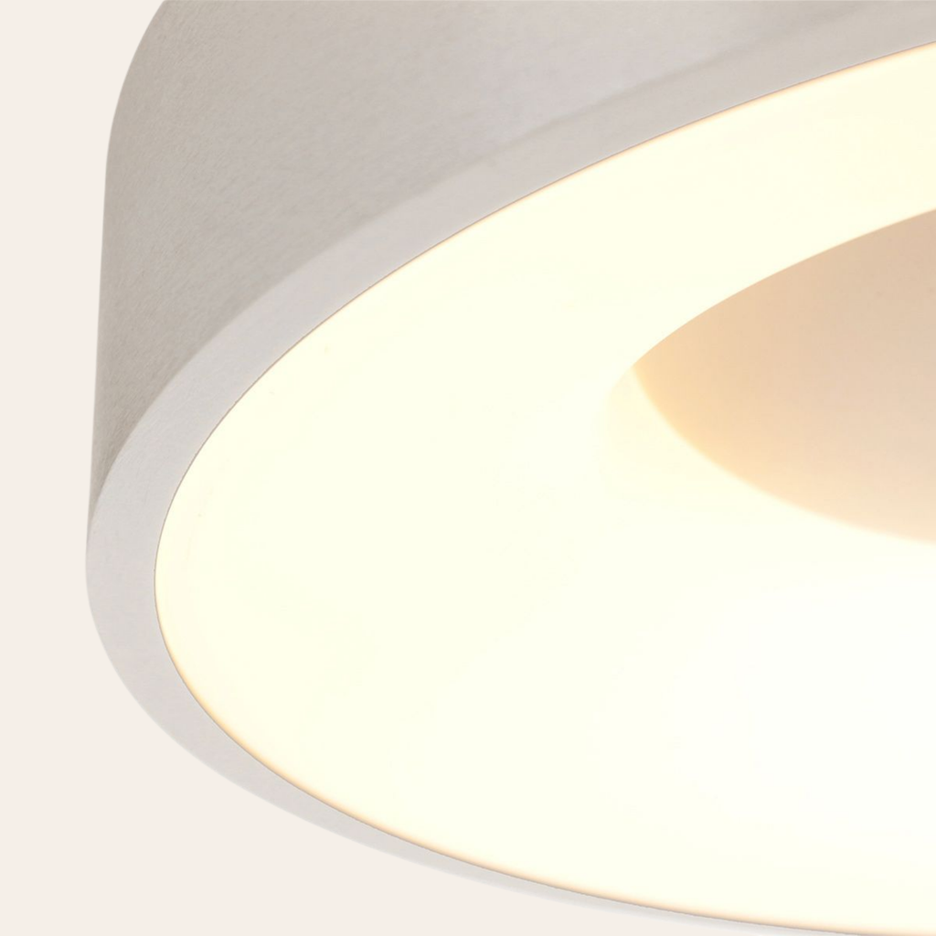 Steinhauer Ringlede Plafondlamp | Zilveren LED Ø48 cm, Dimbaar voor Slaapkamer en Woonruimte Steinhauer