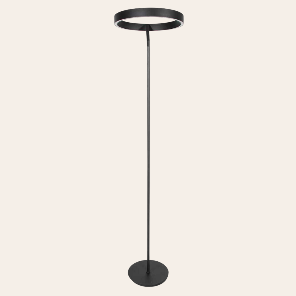 Steinhauer Mykty Vloerlamp | Zwarte LED, Dimbaar, 170 cm Hoog voor Woonkamer Steinhauer