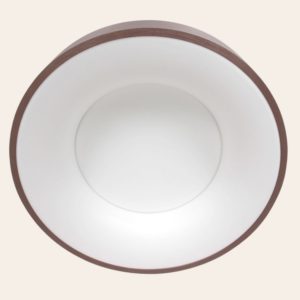 Steinhauer Ringlede Plafondlamp | Bronzen LED Ø48 cm, Dimbaar voor Slaapkamer en Woonruimte Steinhauer
