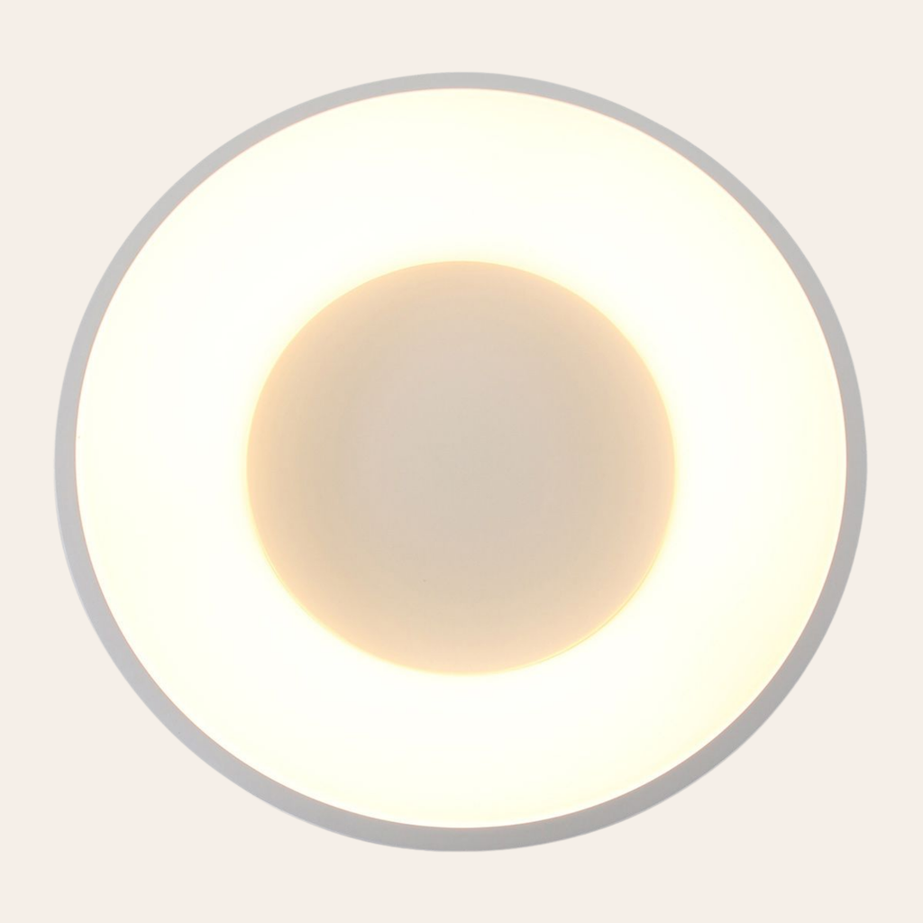 Steinhauer Ringlede Plafondlamp | Witte LED Ø48 cm, Dimbaar voor Slaapkamer en Woonruimte Steinhauer
