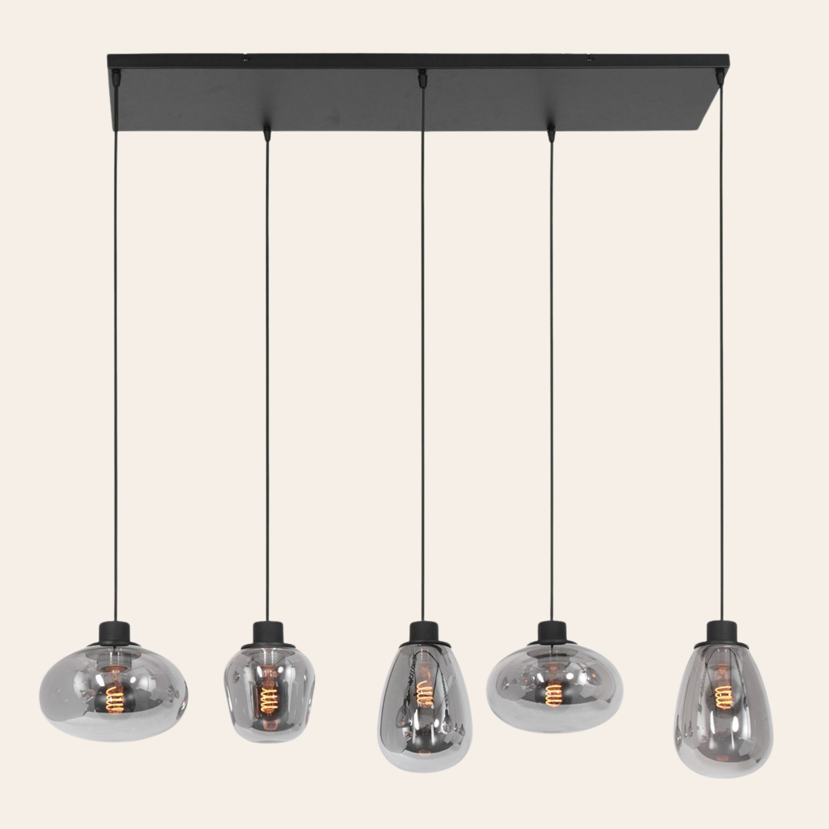 Steinhauer Reflexion Hanglamp | Zwart Staal, 5 Lichtpunten, Smoke Glas Steinhauer