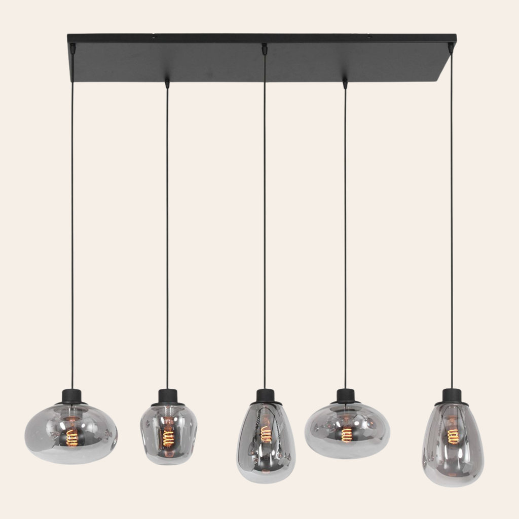 Steinhauer Reflexion Hanglamp | Zwart Staal, 5 Lichtpunten, Smoke Glas