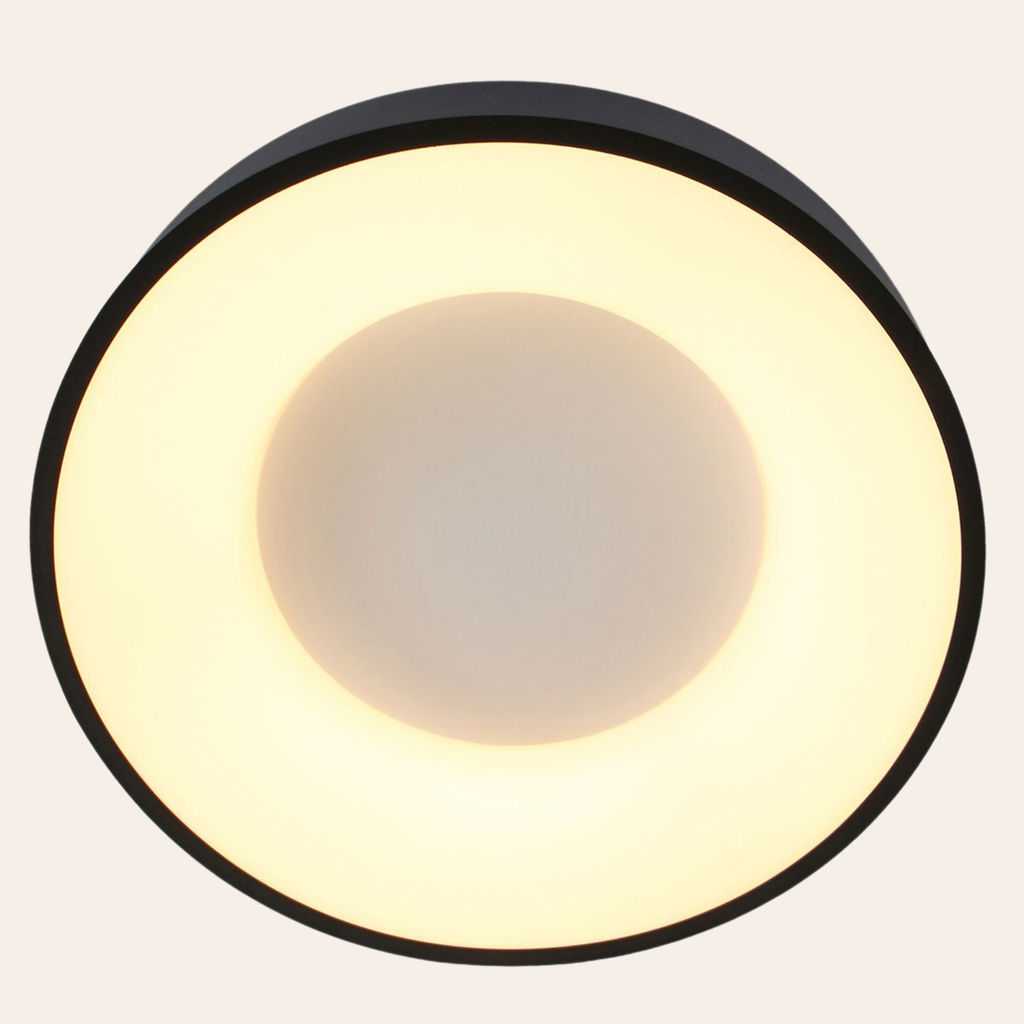 Steinhauer Ringlede Plafondlamp | Zwarte LED Ø48 cm, Dimbaar voor Slaapkamer en Woonruimte Steinhauer