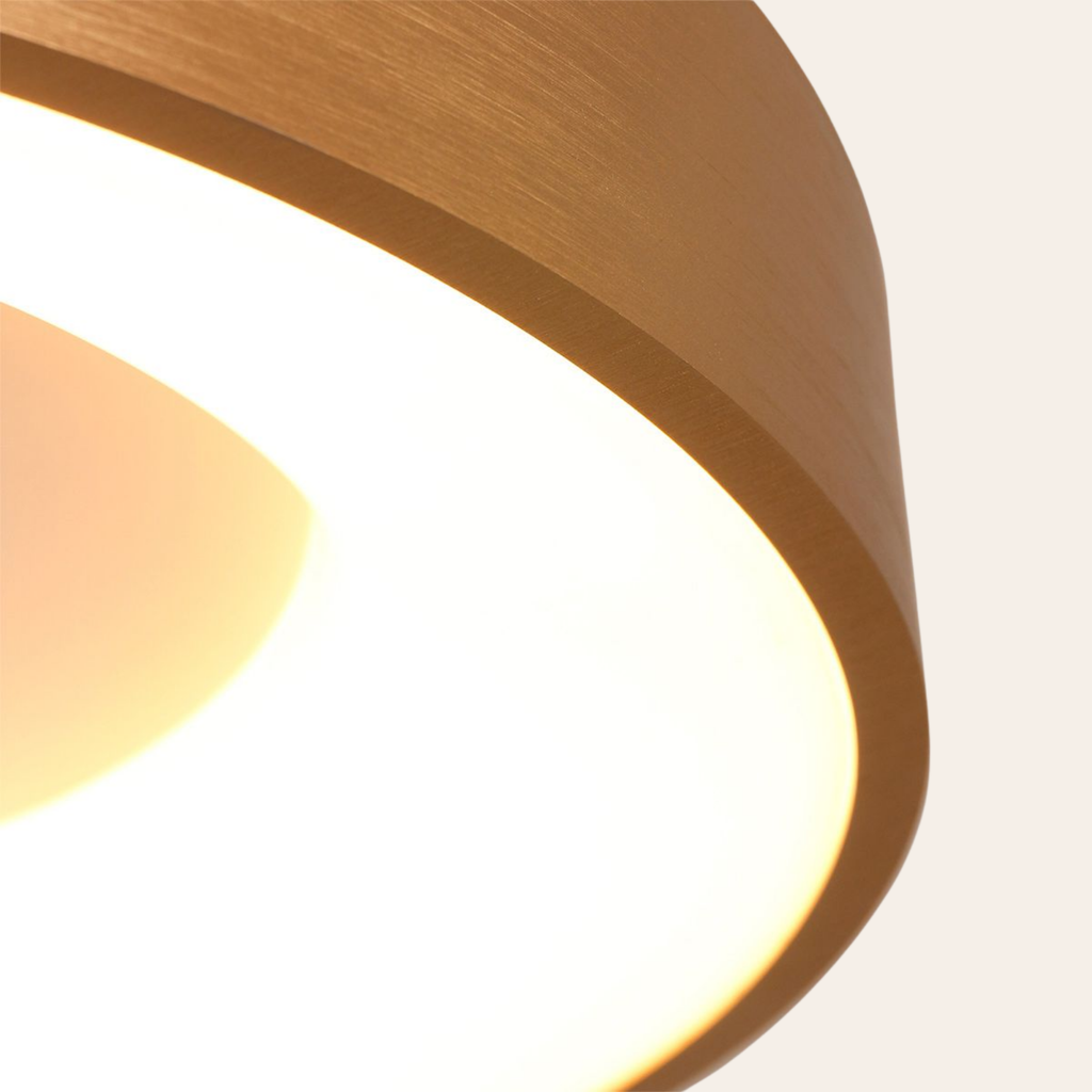 Steinhauer Ringlede Plafondlamp | Gouden LED Ø48 cm, Dimbaar voor Slaapkamer en Woonruimte Steinhauer