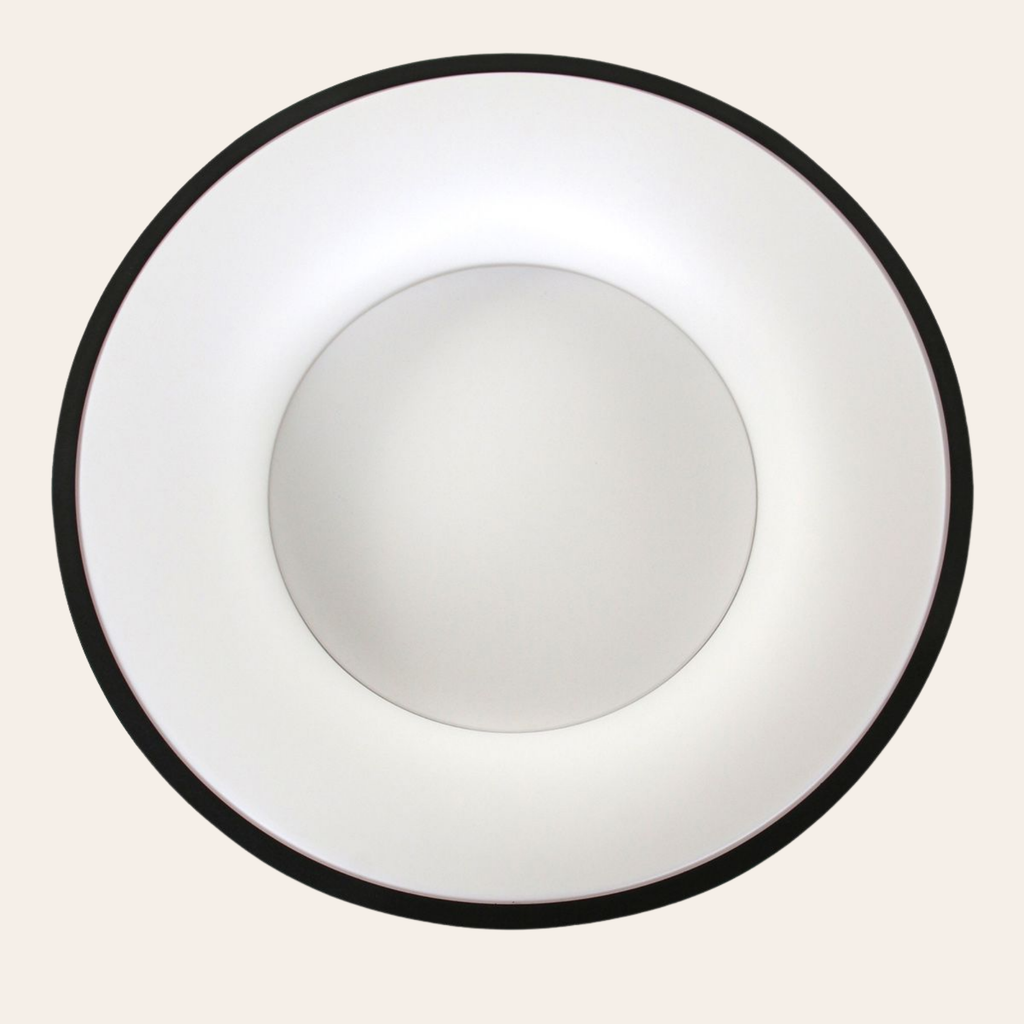 Steinhauer Ringlede Plafondlamp | Zwarte LED Ø48 cm, Dimbaar voor Slaapkamer en Woonruimte Steinhauer